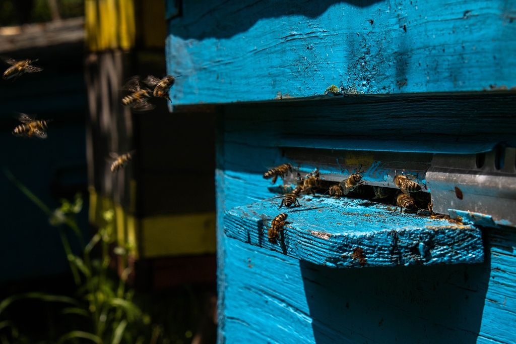Jest planowany nabór wniosków o przyznanie pomocy