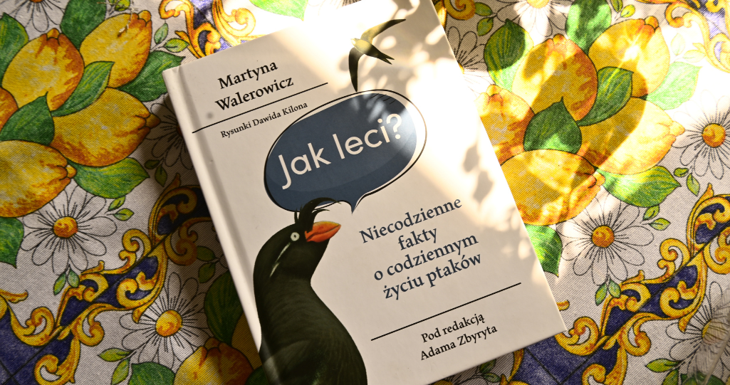 Książka Jak leci Martyny Walerowicz