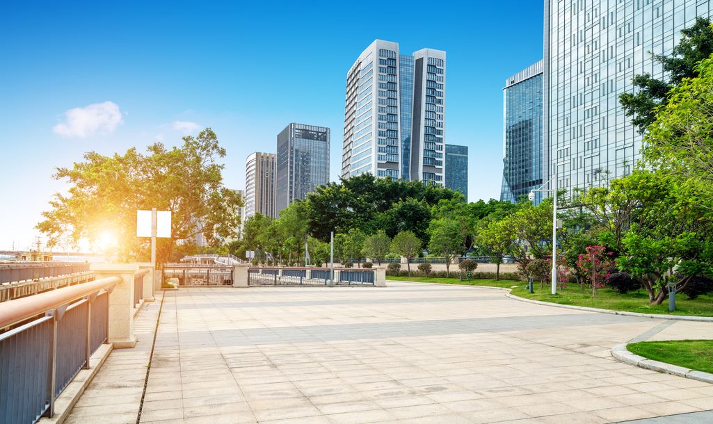 Dzikie pszczoły jako sensory stanu miast