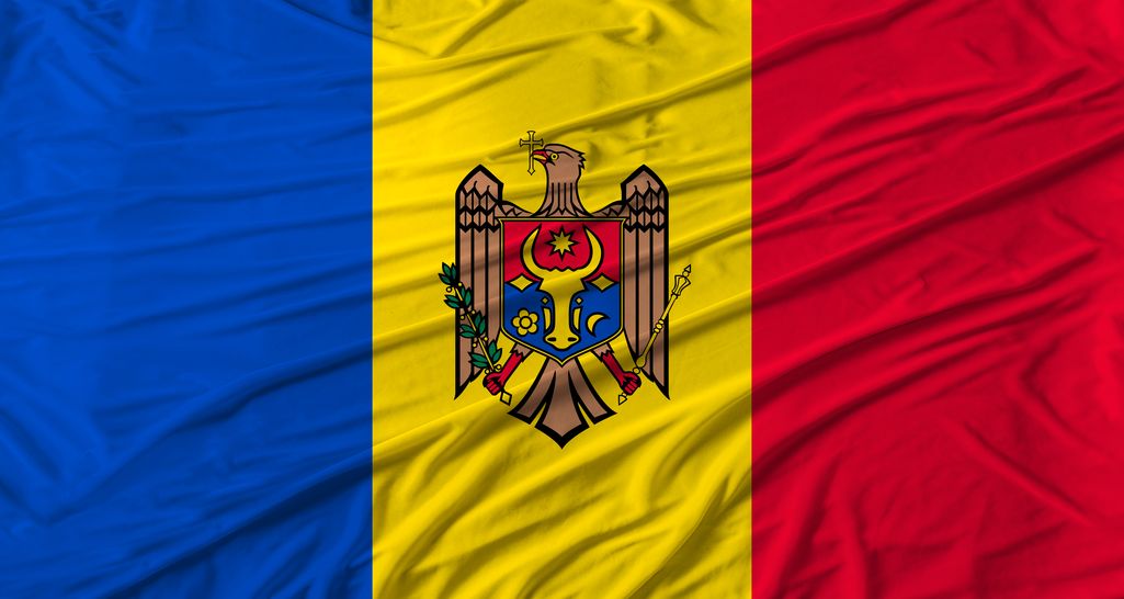 Czarny rok 2025 dla mołdawskiego pszczelarstwa. Produkcja spadła o połowę