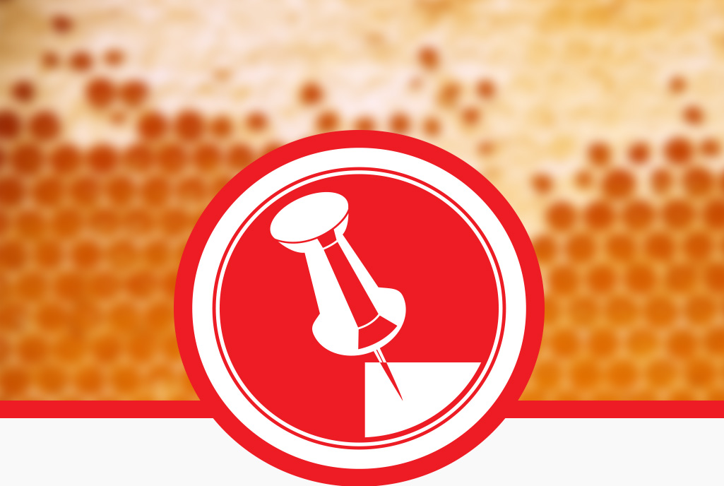 Ogłoszenia drobne z Pasieki