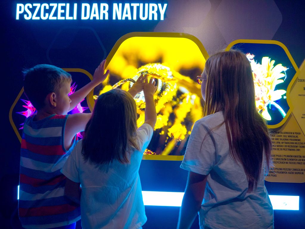 Apilandia – poczuj się jak pszczelarz!