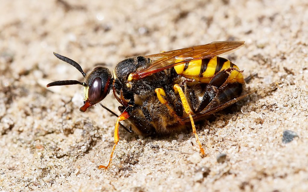 35634278213 7481df5507 o