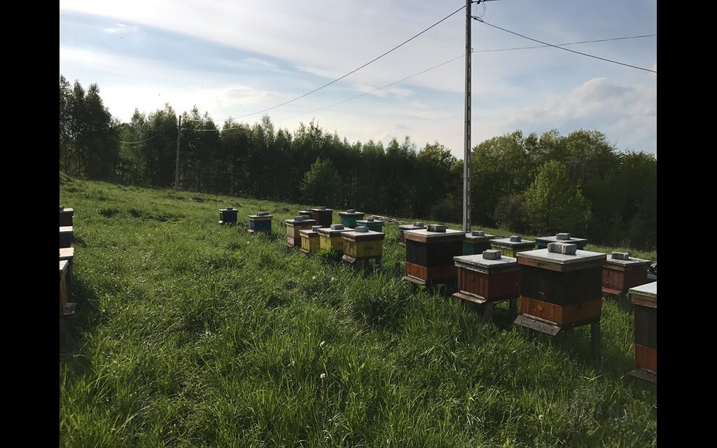 60723376 2366431446713673 1130312204055216128 n