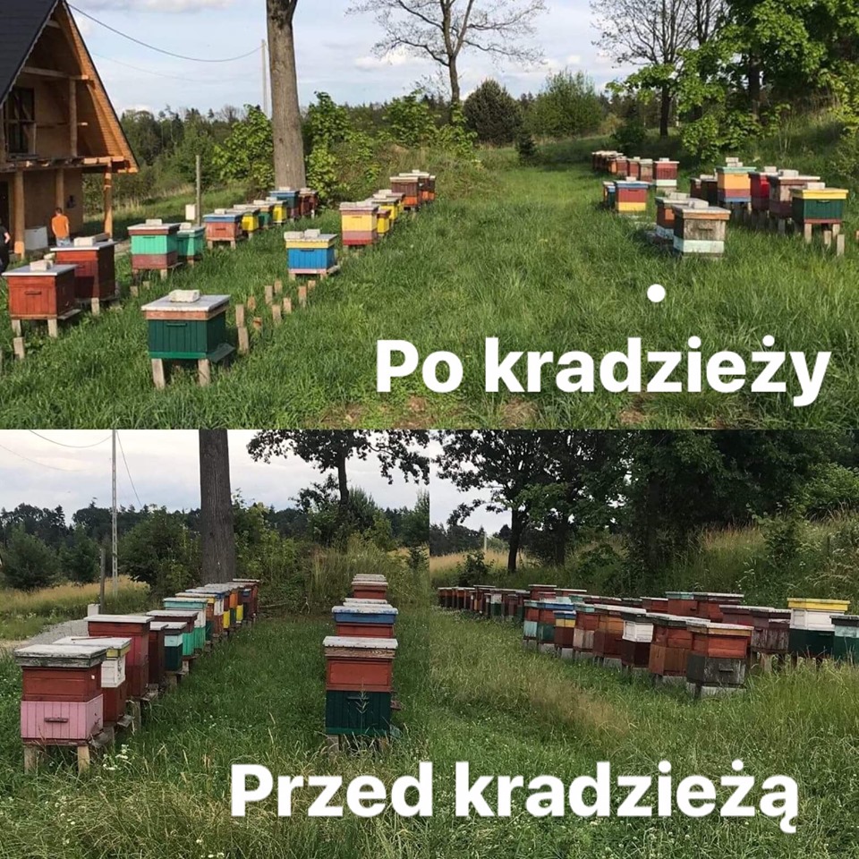 60905028 2366426963380788 936152770010939392 n