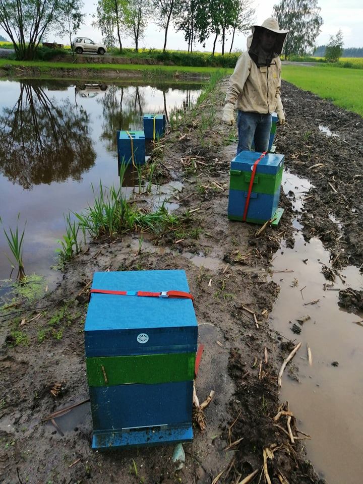 61126383 625160724626603 7806668355485564928 n