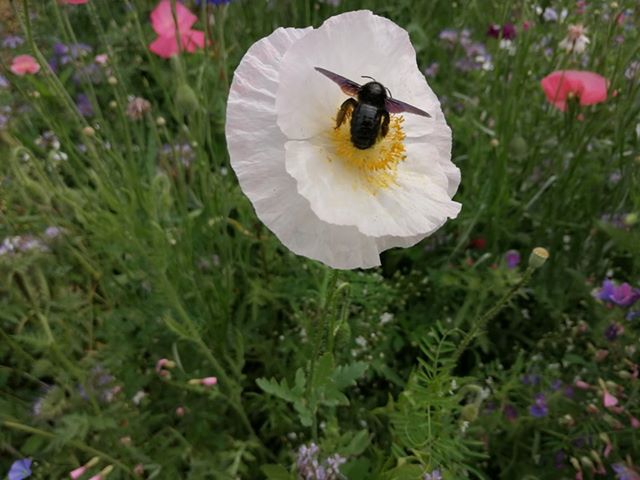 64483658 467323407405938 1261510406837370880 n