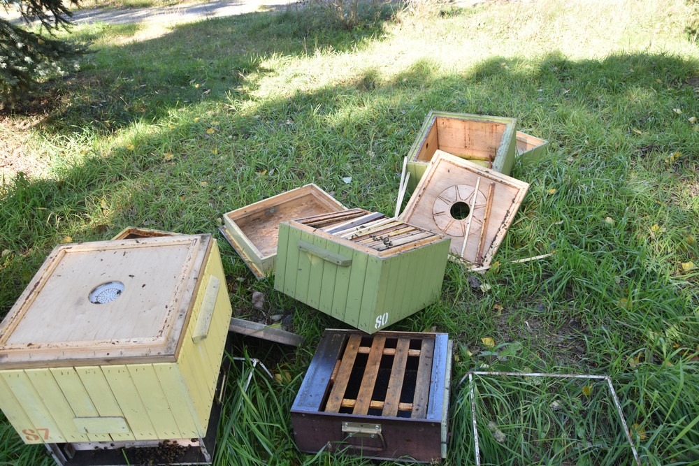 73024785 2837219149644226 4615674136079892480 o