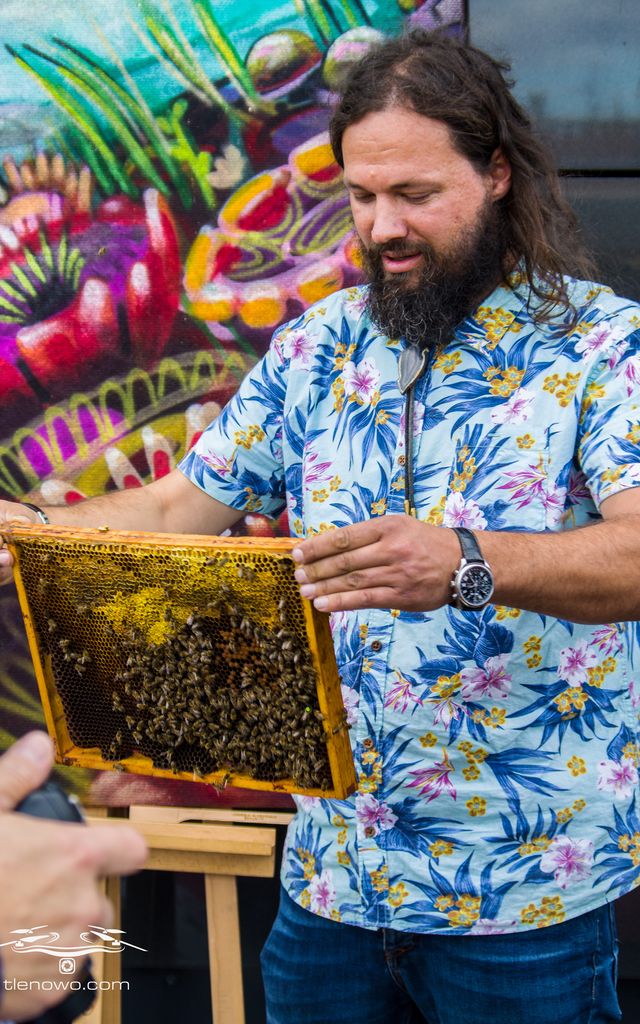 Filharmonia ule 2019 10 001