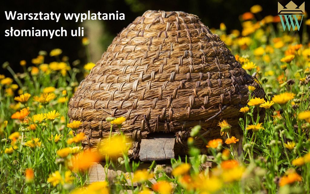 Warsztaty pszczelarskie - wypleć kószkę