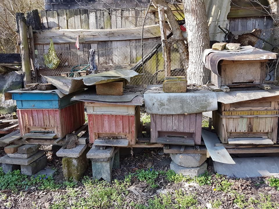 Kolejna kradzież uli w Szczecinie