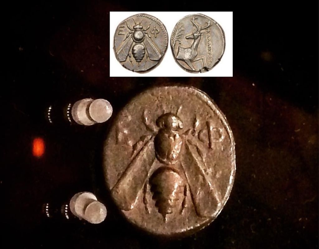 pszczola efes moneta