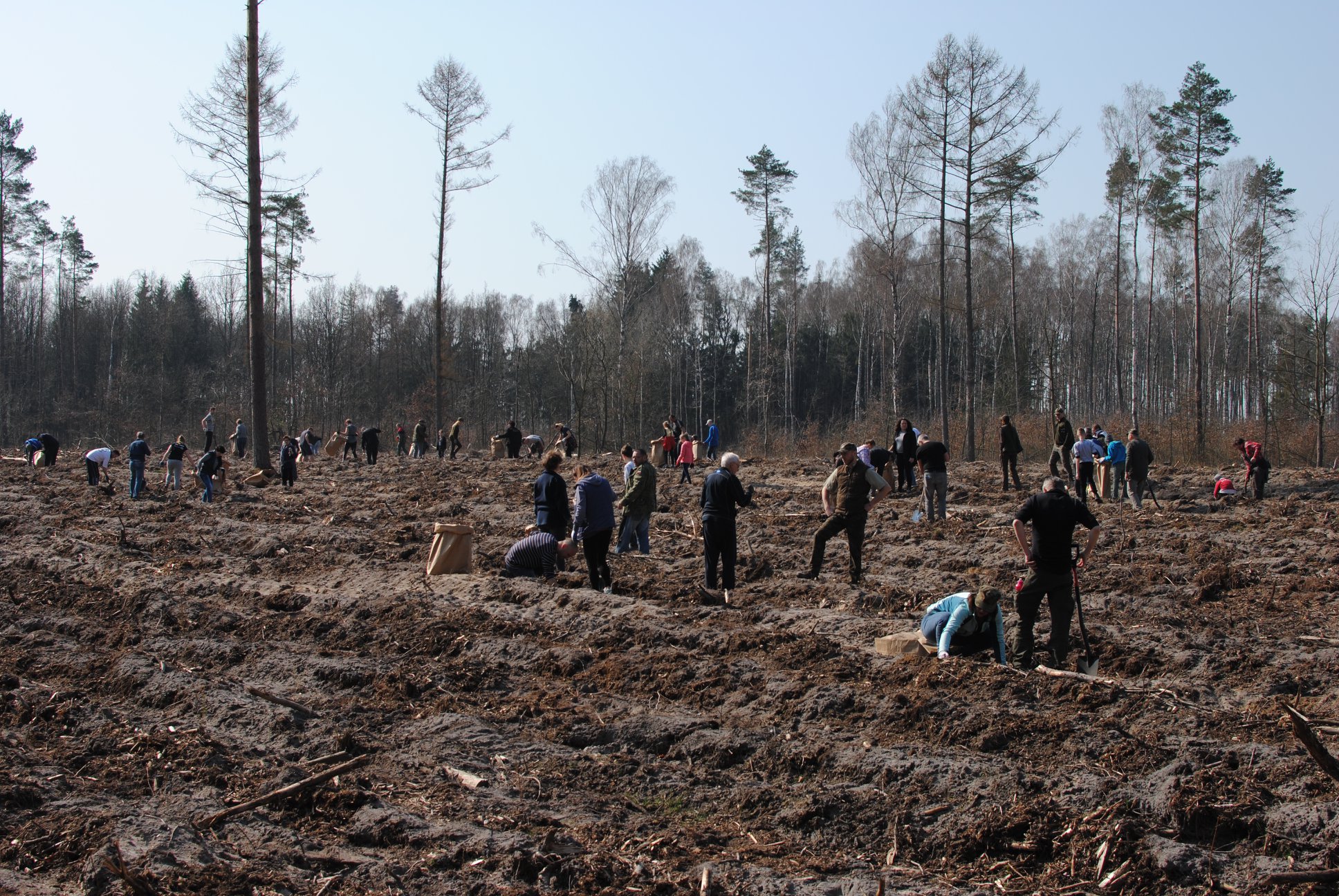 Nie ma lipy w Rytlu – fotorelacja