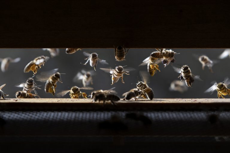 3.I.85. Na letáči 768x511