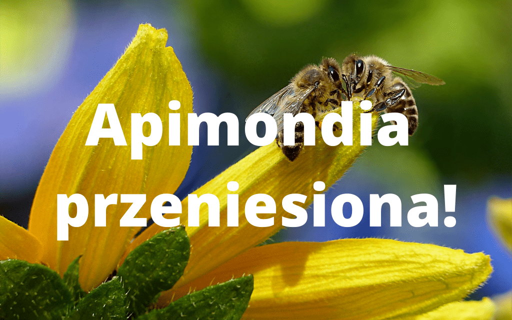 Apimondia przeniesiona