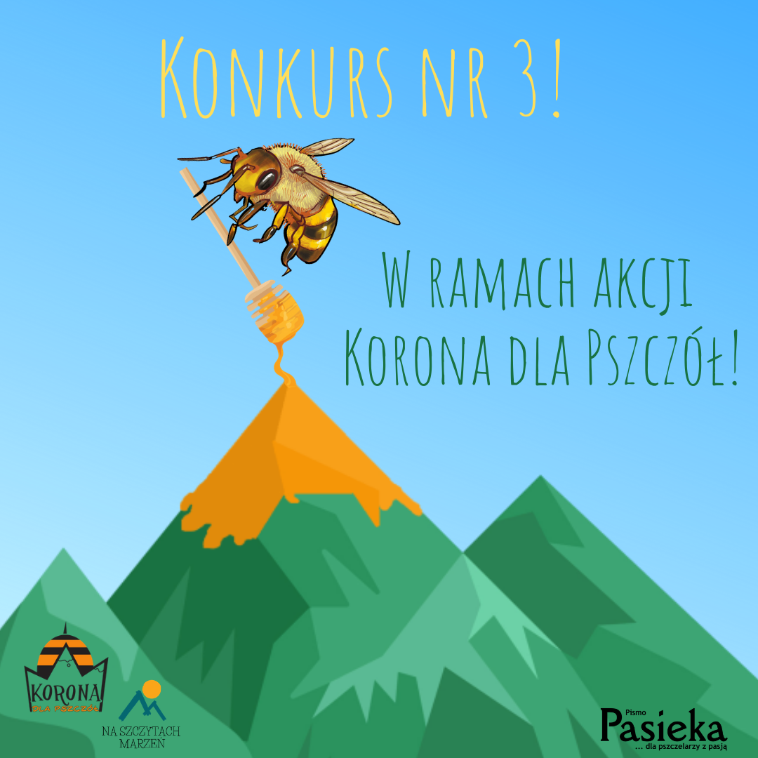 Grafika instagram Konkurs nr 3