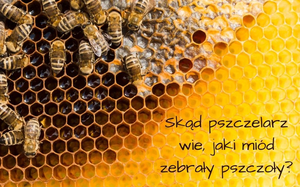 Skad pszczelarz wie
