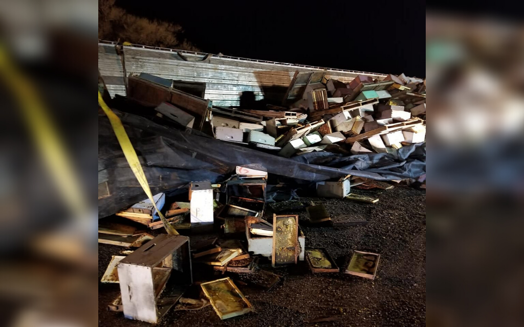 Wypadek USA pszczoly 2