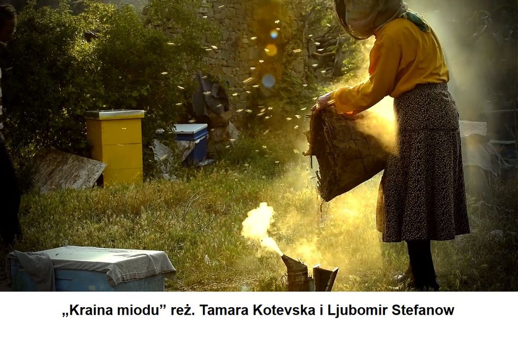 Kadr ze zwiastuna filmu Kraina Miodu