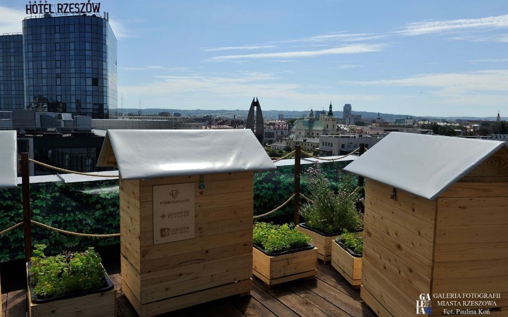 rzeszow