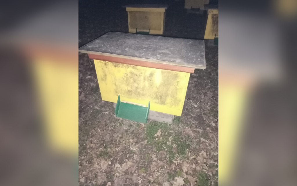 ul mazurska pszczola 3