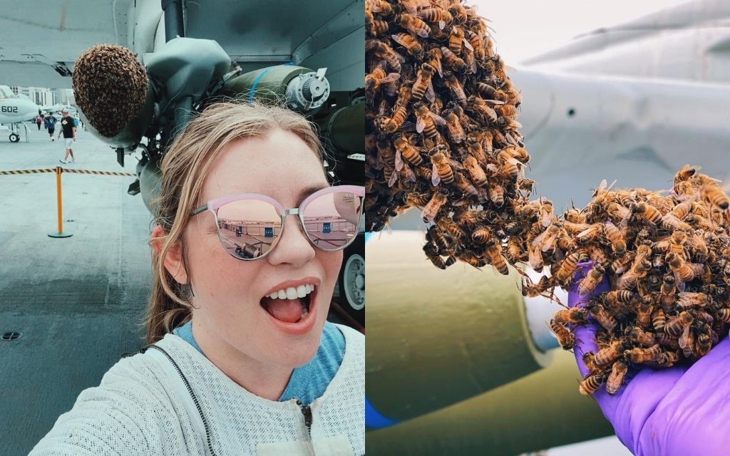 Girl Next Door Honey