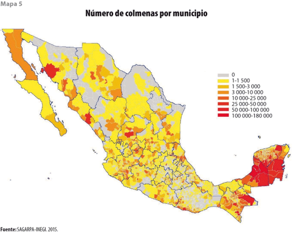 Pszczelarstwo meksyku