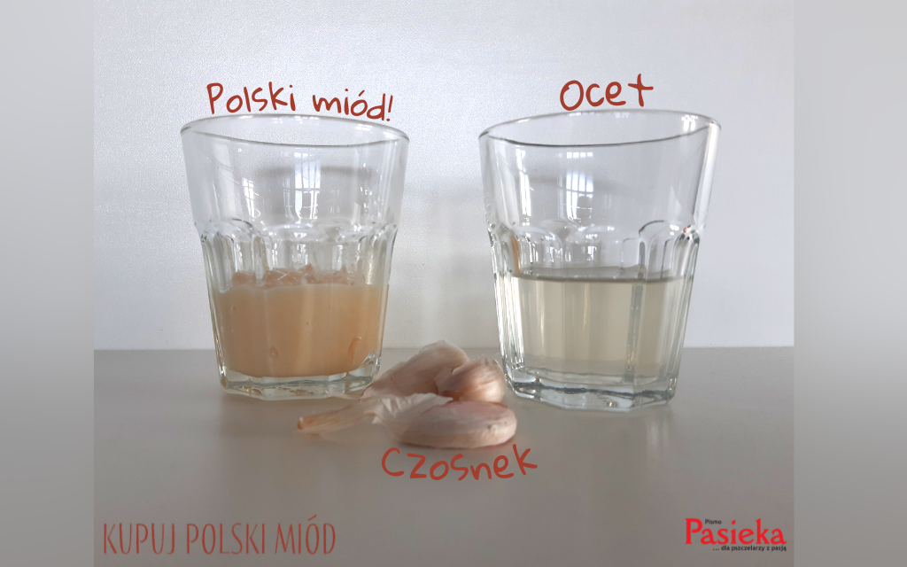 Składniki na miksturę na przeziębienie