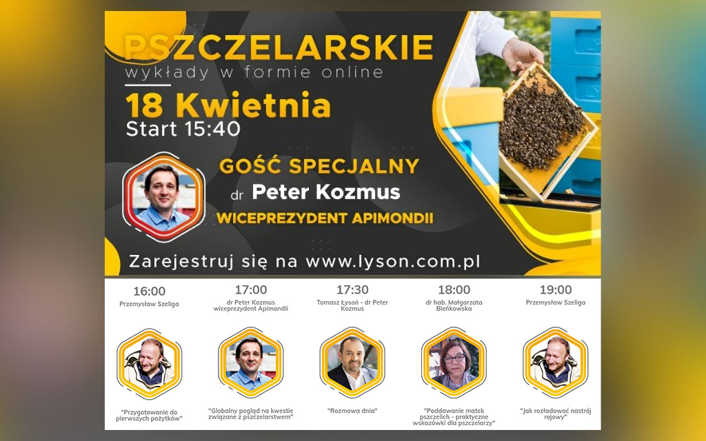 wyklady firmy lyson 18 04