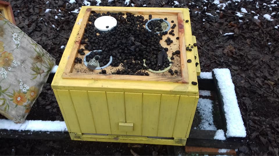 keramzyt zniszczony ul