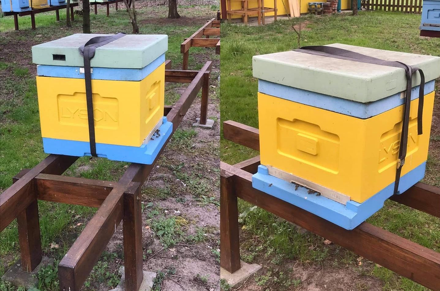 skradzione ule z pasieki Bernadety Sołtys