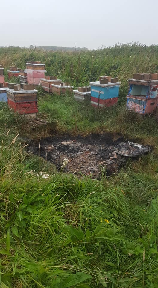 spalone ule w Nottingham 2