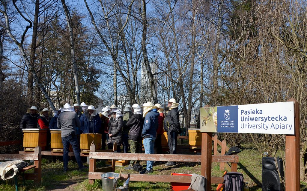 Pasieka Uniwersytecka Akademia Pszczelarza