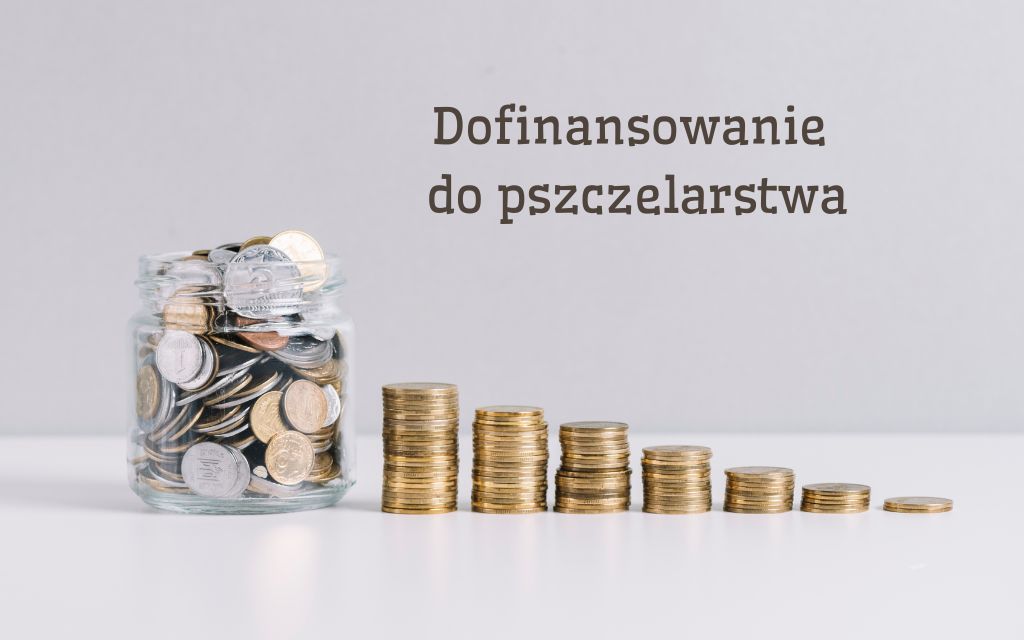 Pieniądze dla pszczelarze money mamona