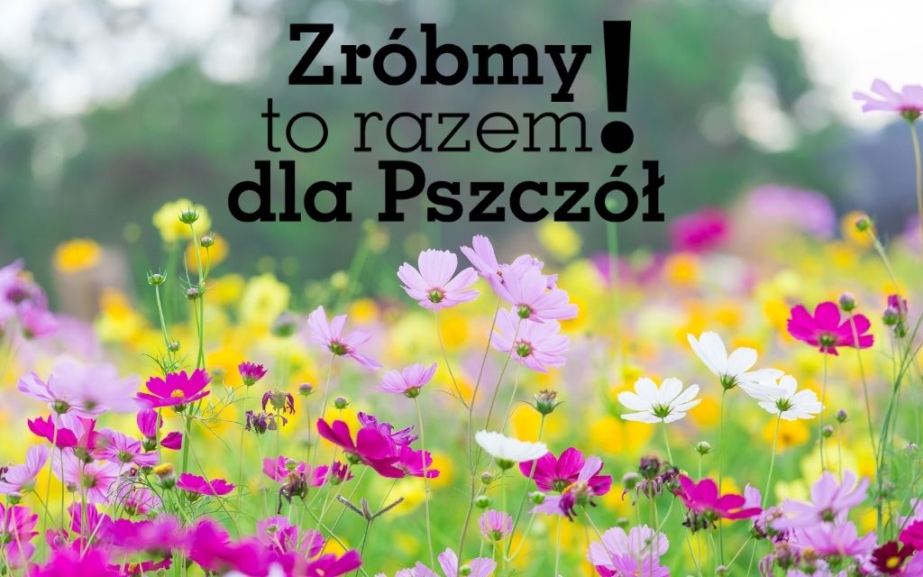 ZROBMY TO RAZEM DLA PSZCZOL