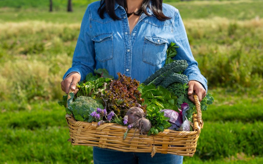 roślin warzywa ogrody dzialkowe jako naturalne