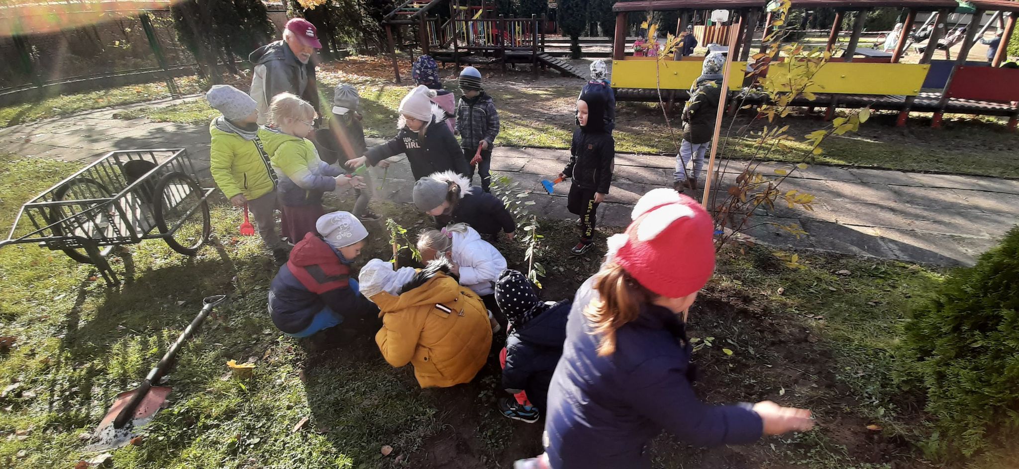 sadzenie w terenie dzieci