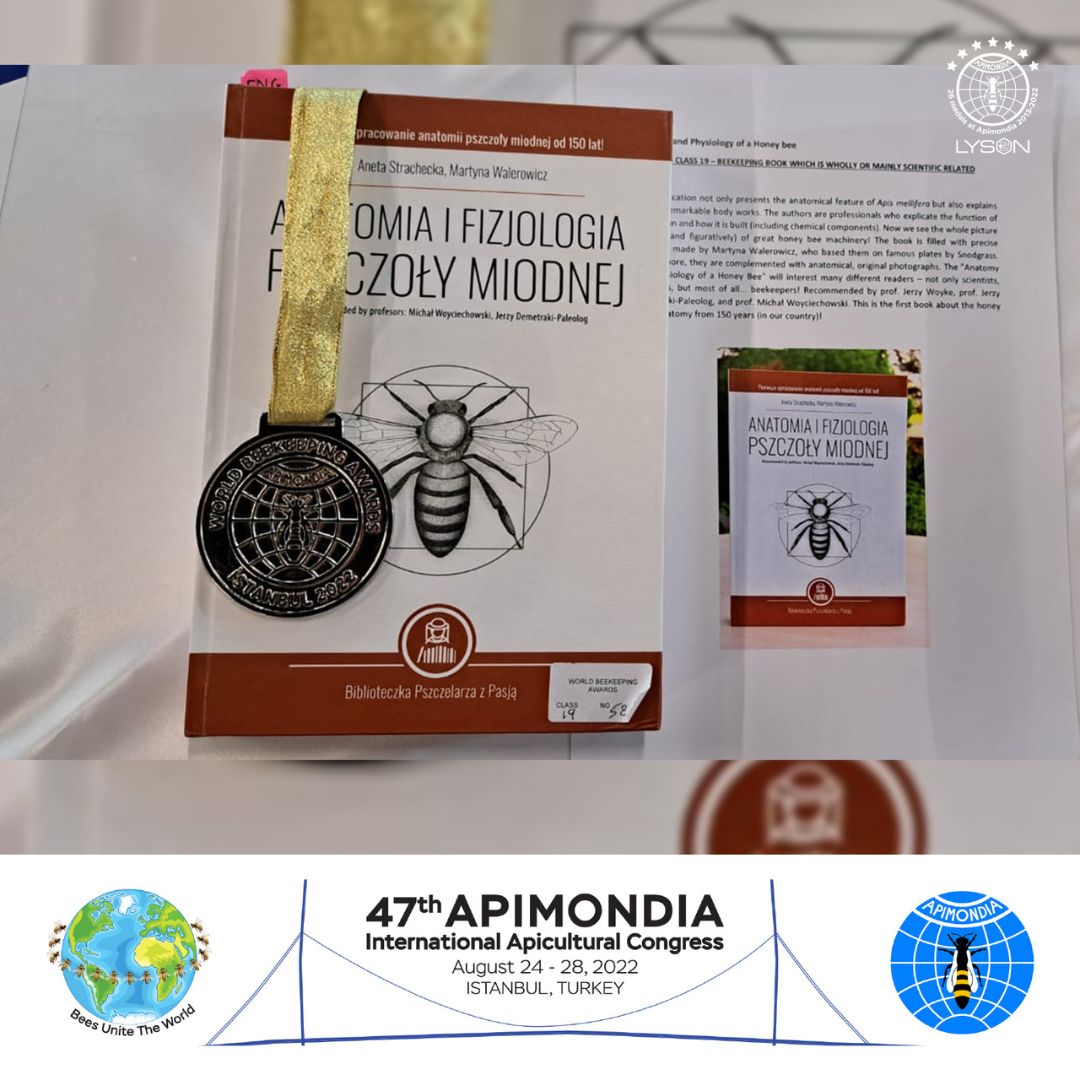 srebrny medal Anatomia