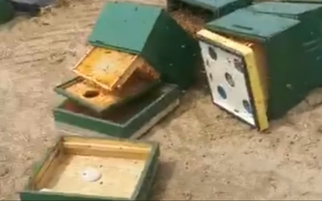 zniszczenie uli maj 2022