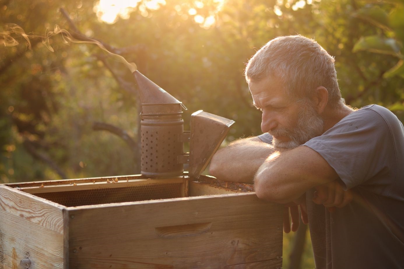 Anna Samseliová Obdiv 2. miesto Včelár a jeho včely 2