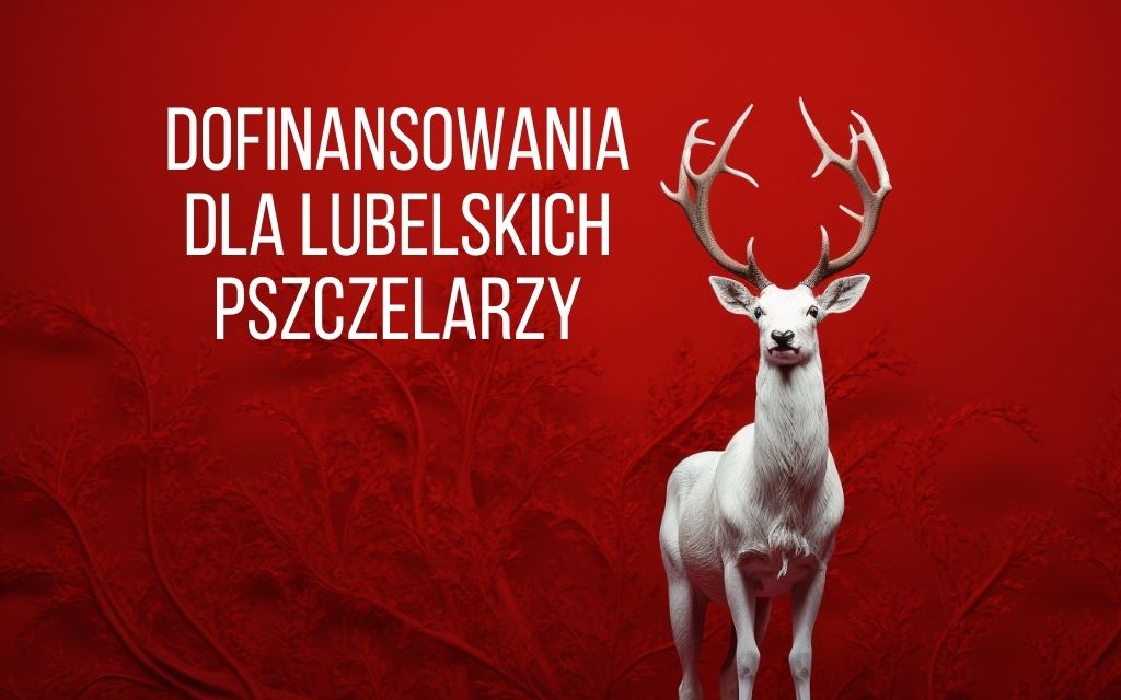 Dofinansowania dla lubelskich pszczelarzy