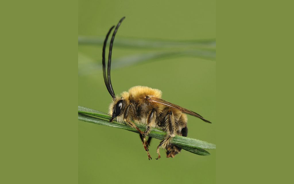 Co dalej ze strzelnicą w Łukowie?