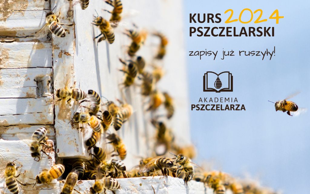 Myślisz o kursie pszczelarskim? Idź do Akademii Pszczelarza!