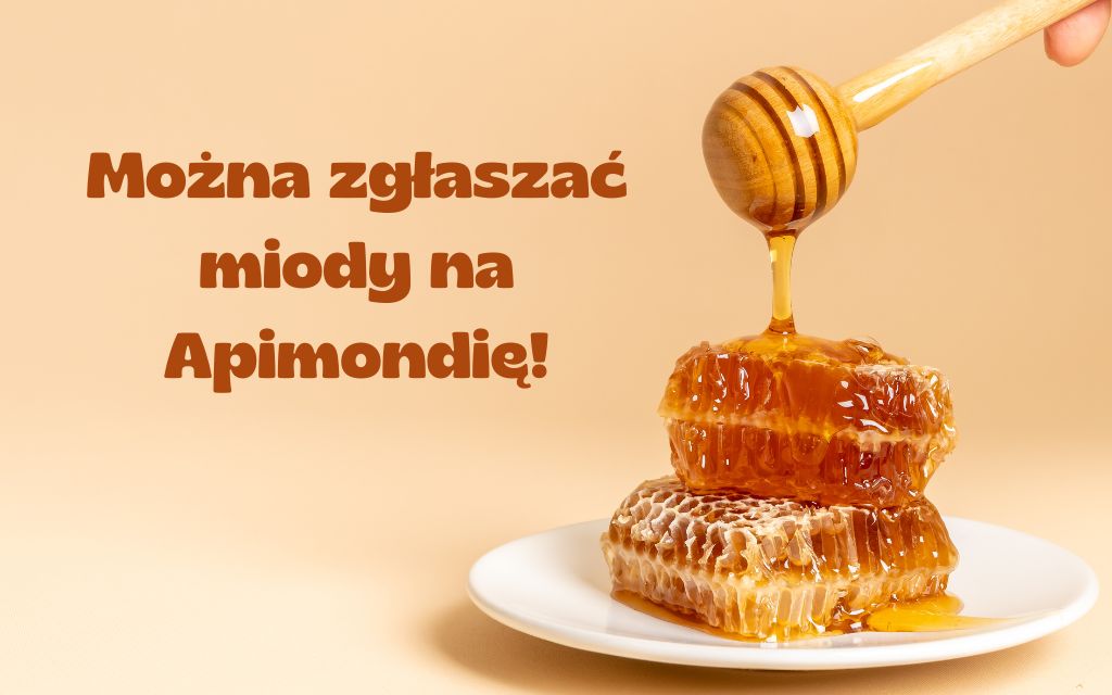 Miód Apimondia a ajednak