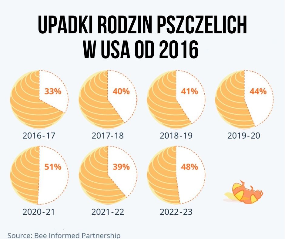 Upadki rodzin pszczelich w USA od 2016