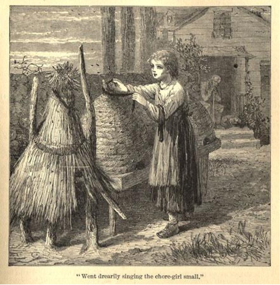 czarne wstążki na ulu