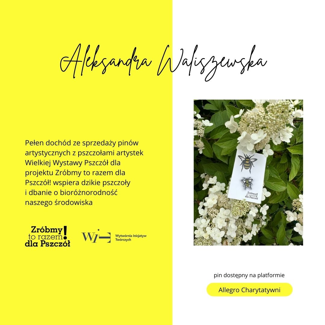 pin aleksandra waliszewska