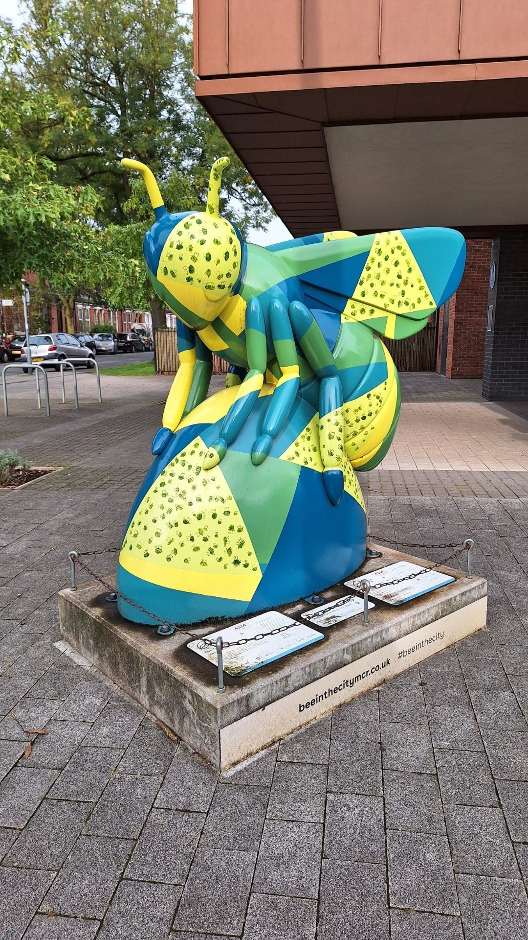 pszczoła lyndy manchester