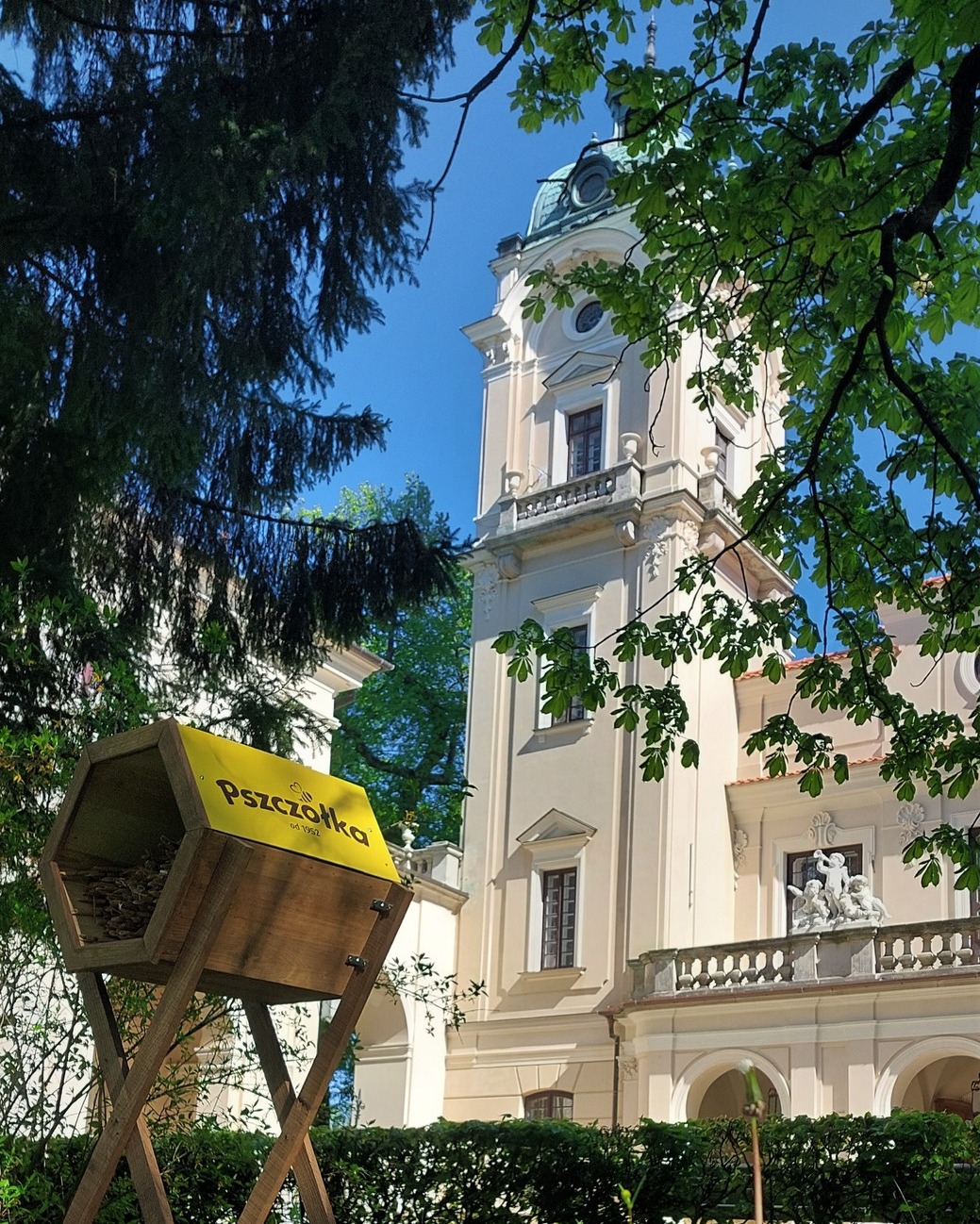 pszczoły przy pałacu w kozłówce