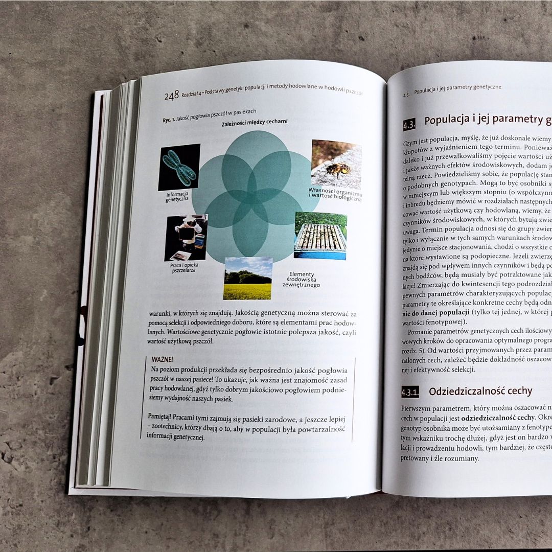 wgląd do ksiązki Mireckiej